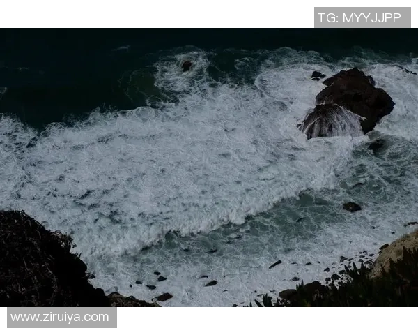 足球放鹰展翅高飞激情碰撞梦想与现实的完美交融 足球放鹰展翅高飞激情碰撞梦想与现实的完美交融